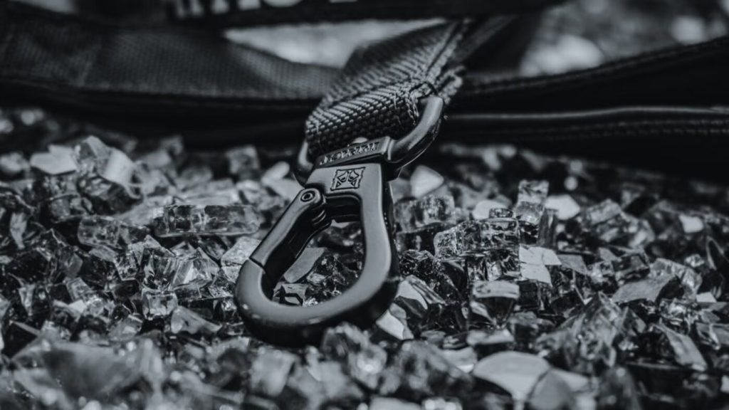 Durable dog leash hardware representing safety, material quality, and category upgrade in pet walking products